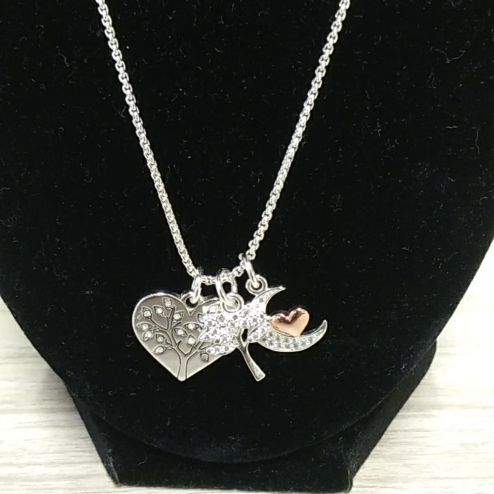 La cn Silverstone chain and 3 charms looks new